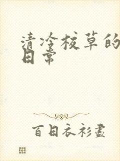 清冷校草的抹布日常