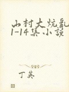 山村大炕乱肉续1-14集小说