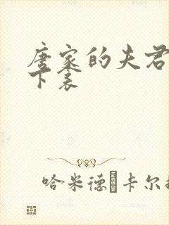 唐家的夫君们帘下衾