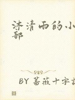 沐清雨的小说全部