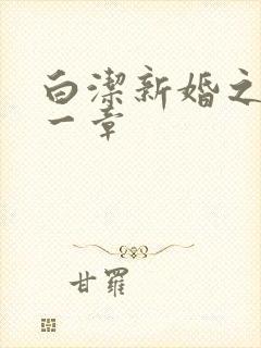 白洁新婚之夜第一章