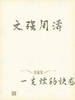 文强周涛