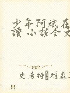 少年阿斌在线阅读 小说全文免费