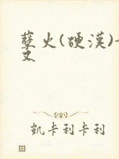 孽火(硬汉)今又