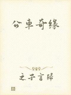 公车奇缘