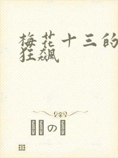 梅花十三的乳液狂飙