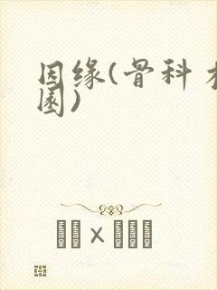 因缘(骨科 校园)