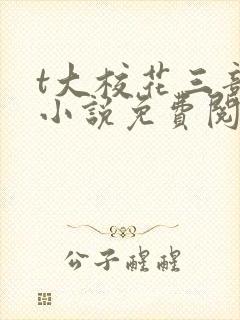 t大校花三部曲小说免费阅读全文