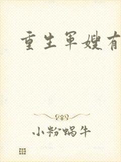 重生军嫂有空间