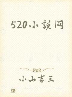 520小说网