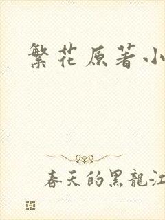 繁花原著小说
