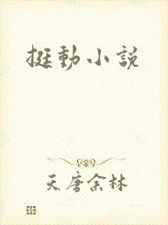 挺动小说