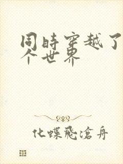 同时穿越了99个世界