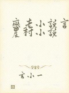 恋老小说言情网农村小说