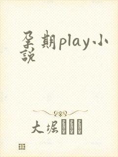 孕期play小说