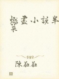 燃尽小说半截白菜