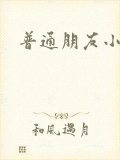 普通朋友小说