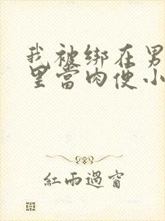 我被绑在男公厕里当肉便小说