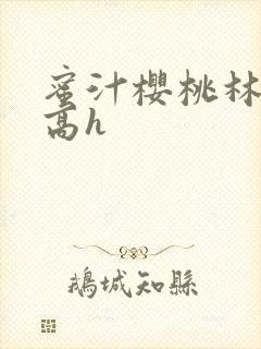 蜜汁樱桃林妙妙高h