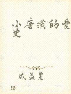 小唐璜的爱情历史