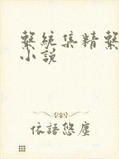 系统集精系统 小说