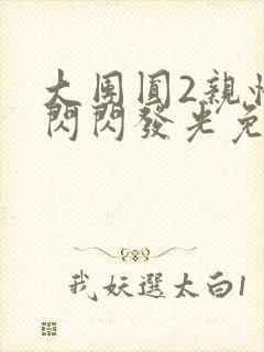 大团圆2亲情会闪闪发光免费