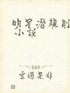 明星潜规则之皇 小说