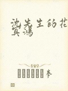 沈先生的花式调冥鸿