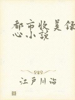 都市收美录宁素心小说