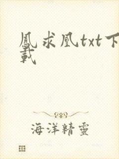 凤求凰txt下载
