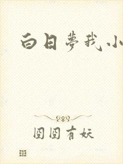 白日梦我小说