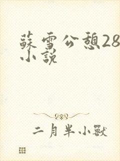 苏雪公憩28篇小说