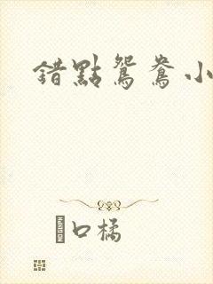 错点鸳鸯小说