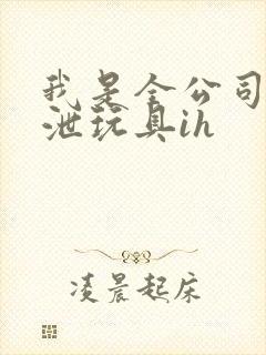 我是全公司的发泄玩具ih