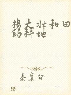 杨大壮和田桂花的耕地