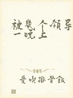 被几个领导玩弄一晚上