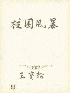 校园风暴