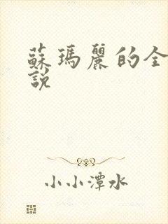 苏玛丽的全部小说