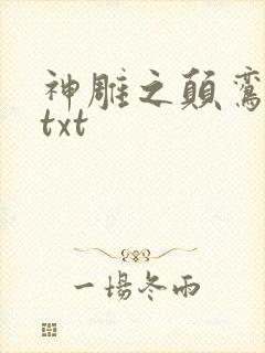 神雕之颠鸾倒凤txt