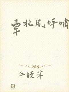 西北风呼啸的中午