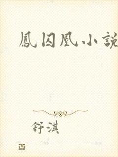凤囚凰小说