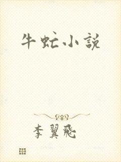 牛虻小说