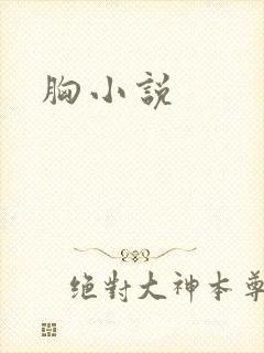 胸小说