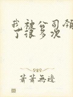 我被公司领导C了很多次