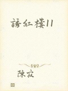 诱红楼11