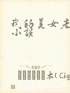 我的美女老板 小说