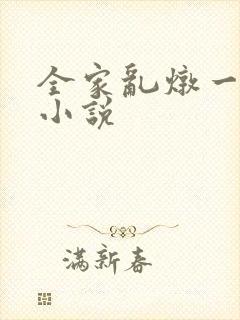 全家乱炖一锅烩小说