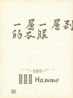 一层一层剥开我的衣服