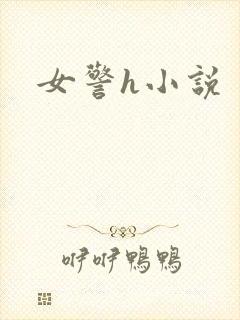 女警h小说