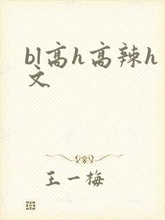 bl高h高辣h文